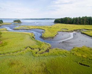 Lubberland Creek Salt Marsh.