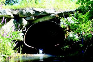 A metal culvert pipe under a road.