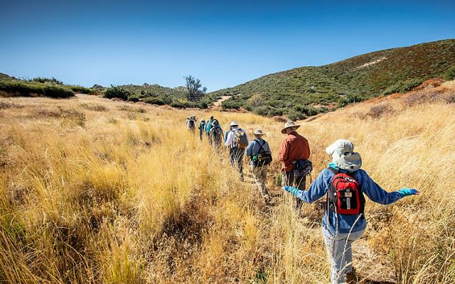 Field trip goers hike through golden grasses on Lucky 5 Ranch. 