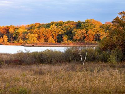 A forest in fall colors borders a lake.