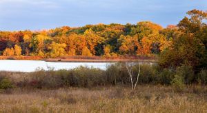 Trees in autumn color around the shore of Lulu Lake.