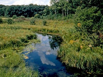 Small creek running through open land with woods in background.