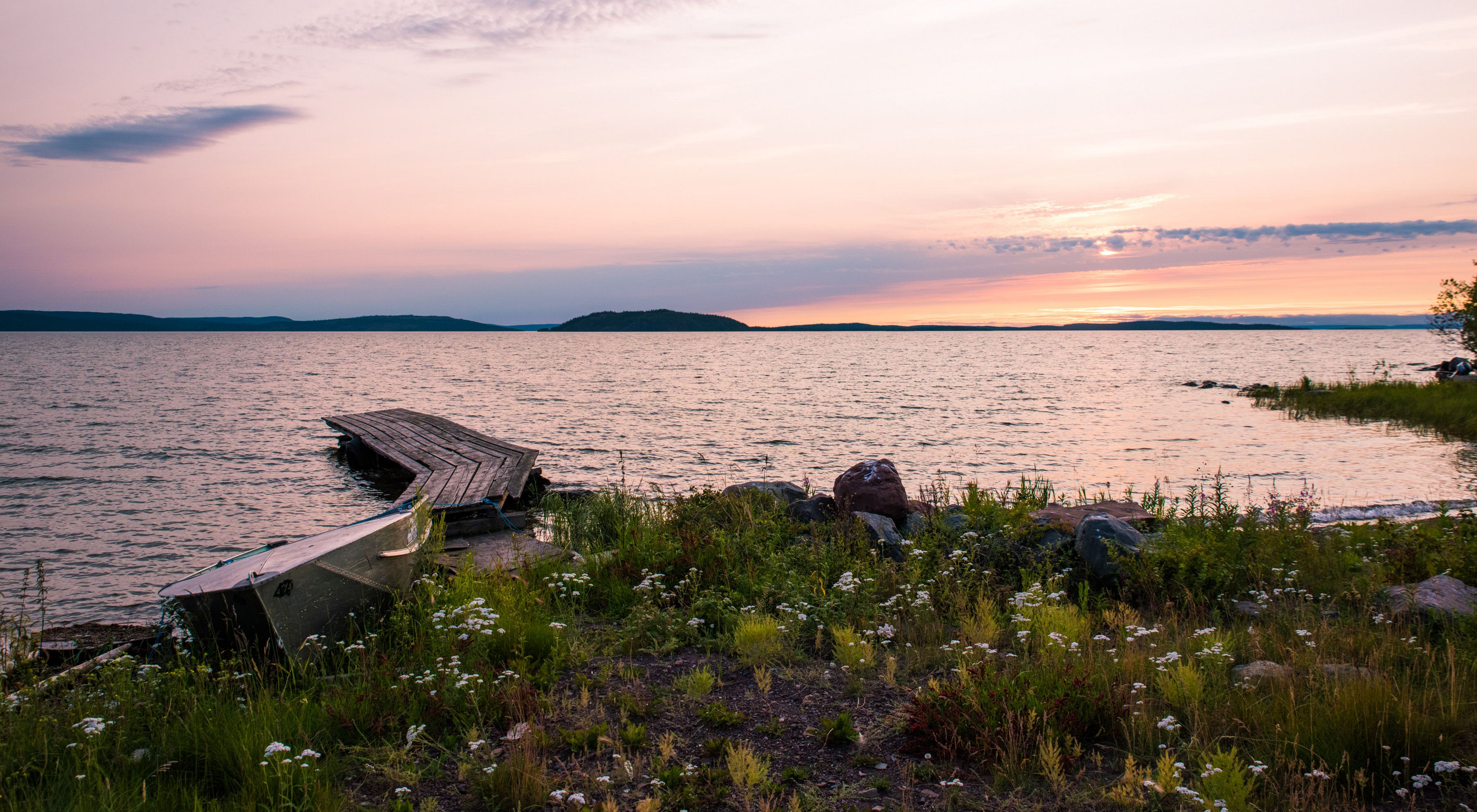 Wooden dock on a the shore of Great Slave Lake blooming with wildflowers at sunset 