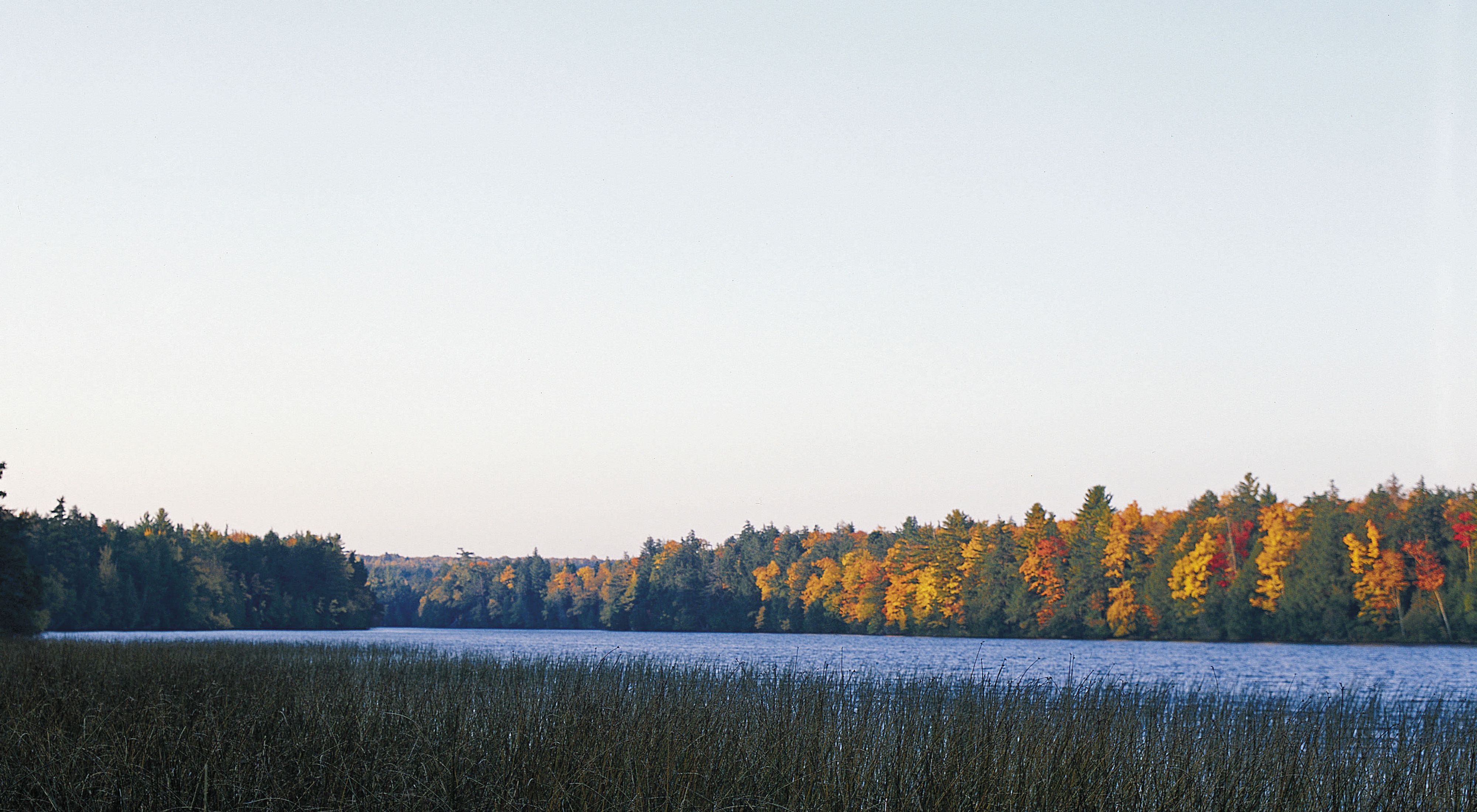 An autumn forest surrounds a calm lake on a clear day at Laughing Whitefish Lake Preserve. 