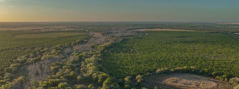 Aerial view of Lyke's Chaparral Slough in the heart of panther territory.