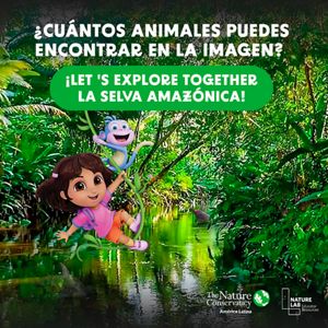 Un rio con plantas alreadedor con graficos de dora y sus amigos.
