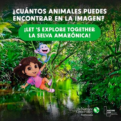 Un rio con plantas alreadedor con graficos de dora y sus amigos.