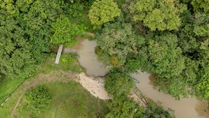 Aerial view of a portion of the Colombian Amazon. 