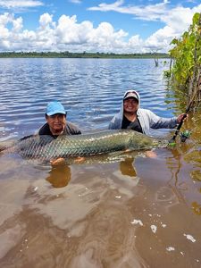Pirarucú en brazos de dos pescadores, en un río ubicado en una reserva ecuatoriana.