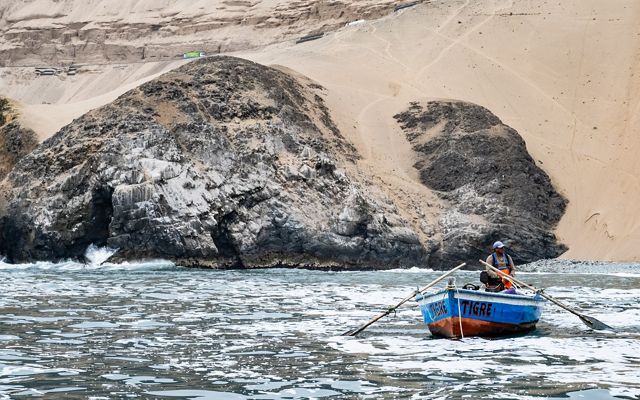 The Humboldt Current, a sea full of life to feed the planet