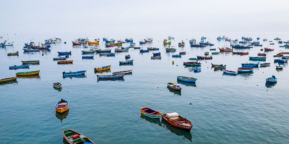 dozens of small, colorful fishing boats anchored in calm waters.