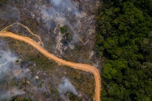 Aerial view of the aftermath of a forest fire, with the ground still smoking. 