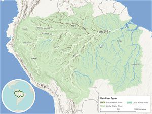 The Amazon Basin