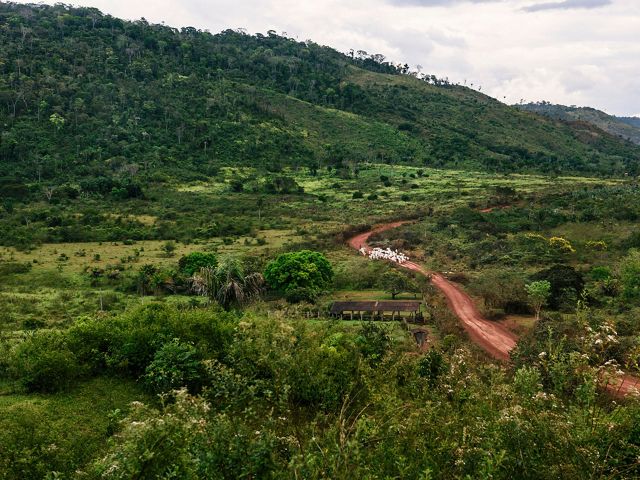 TNC y sus socios están ayudando a los propietarios de tierras a reducir la deforestación mediante prácticas que hacen más productivo el uso de la tierra, como el pastoreo rota