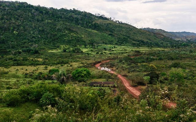 TNC y sus socios están ayudando a los propietarios de tierras a reducir la deforestación mediante prácticas que hacen más productivo el uso de la tierra, como el pastoreo rota