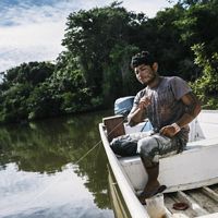 Tekakro Xikrin pesca en el río Bacaja, cerca de la aldea de Pot-Kro, en la Amazonía brasileña. Los territorios indígenas albergan más del 17% del carbono forestal del mundo. 