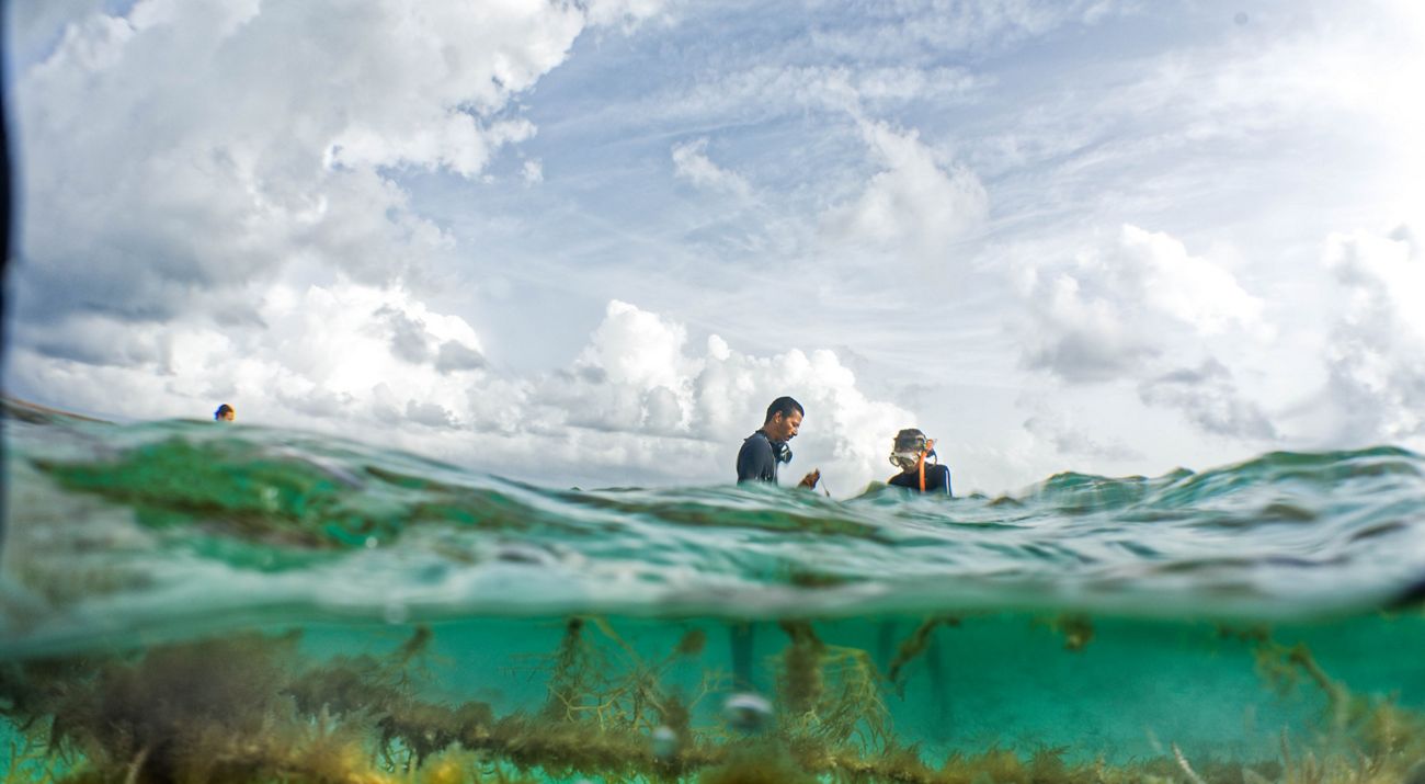 Acuacultura en Belice