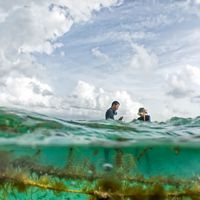 Dos voluntarios están hablando justo antes de volver a sumergirse en una siembra de coral