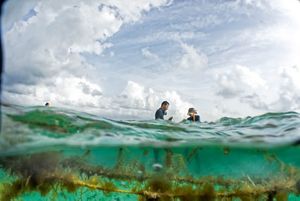 Mariko Wallen and Louis Godfrey are seaweed farmers in Placencia, Belize. They farm two species: Eucheuma (for consumption) and Gracilaria (used for skin treatments and cosmetics). Their farm is part of a program sponsored by TNC to bring seaweed aquaculture to the area in cooperation with the Placencia Fishermen Cooperative.   