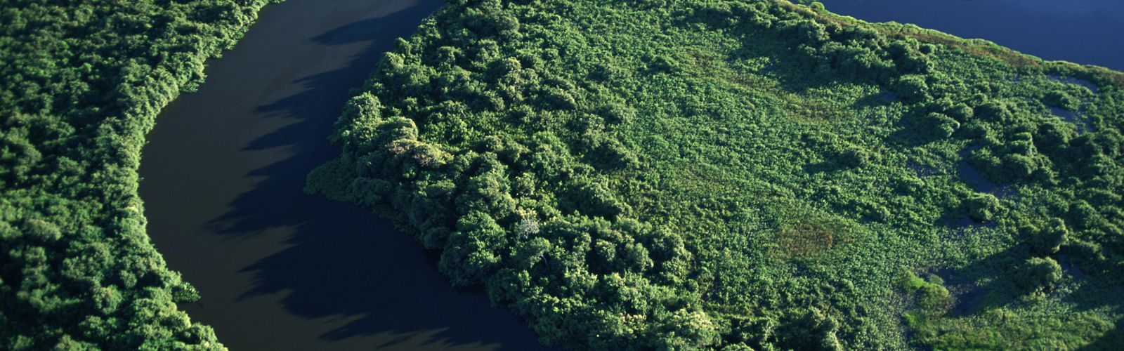 Vista aérea del río Cuiab cruzando el Parque Nacional Pantanal en Brasil.