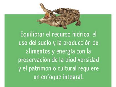 o caimán llanero (Crocodylus intermedius), es una especie endémica de la Orinoquia y una de las especies de cocodrilos más grandes del mundo; sus individuos, que pueden lleg