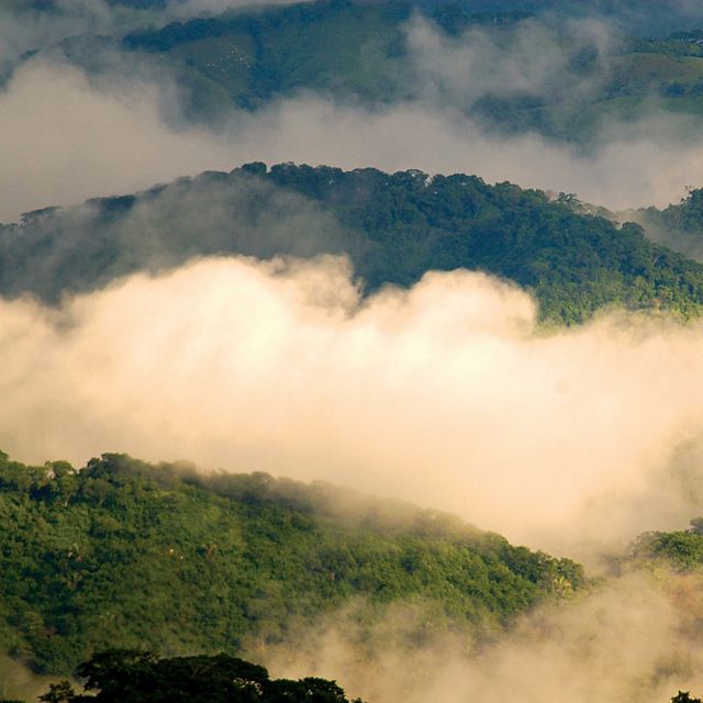 La vista del bosque seco tropical durante la temporada de lluvias en la Reserva Biológica Bosque Escondido es un refugio privado de vida silvestre en Costa Rica