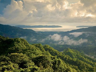 view of an an expansive, rolling forest with water view in distance