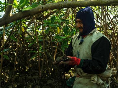 Adolfo Avila, cangrejero de Puerto el Morro, Guayas, Ecuador.