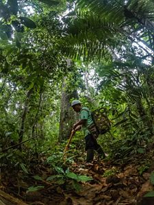 Trabajador del agro en medio de la selva. 