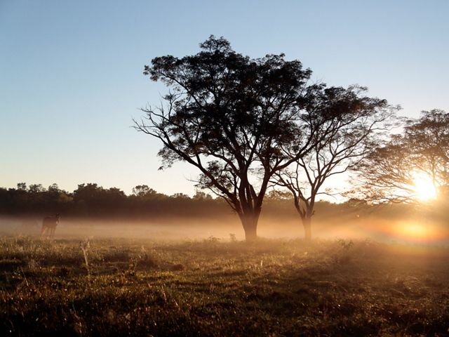 Atardecer en el Gran Chaco Argentina