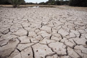 Humedal seco en Gran Chaco.