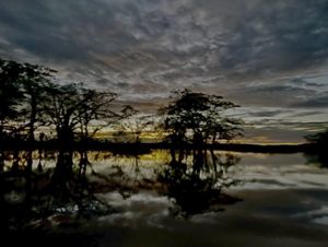 The silhouette of some trees reflects on the quiet waters of the river at a cloudy sunset. 