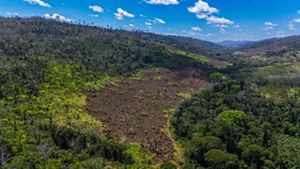 A deforested area on the side of a hill, surrounded by trees and forest, with a blue sky with few clouds on the horizon. 