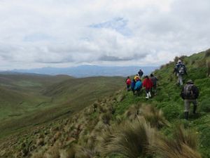 Área de protección hídrica