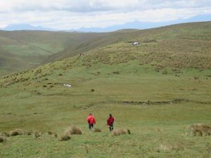 Área de Protección Hídrica 