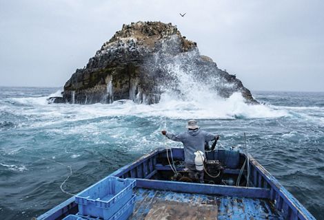 FishPath to Sustainable Oceans