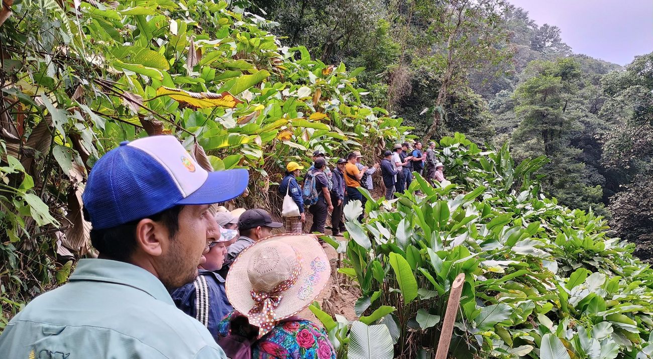 Un grupo de personas camina en un sendero montañoso.