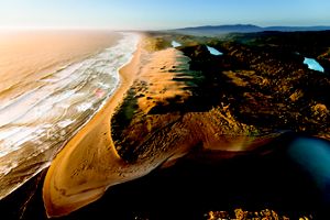 An aerial view of Colun Beach, sand dunes and the Colun River in the Valdivian Coastal Reserve, Los Rios, Chile. 