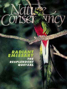 Portada de revista Nature Conservancy que muestra un quetzal resplandeciente, relacionado con el artículo principal de la revista que fue en búsqueda de esta ave en Guatemala, en 1993. 
