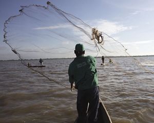 Un kayakista rema por encima de las gorgonias en Belice.