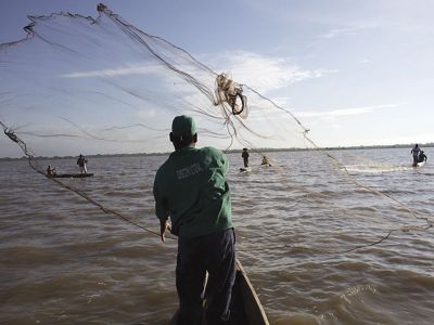 Un kayakista rema por encima de las gorgonias en Belice.