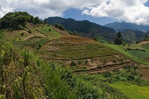 Finca en el cerro punta, Panama. 