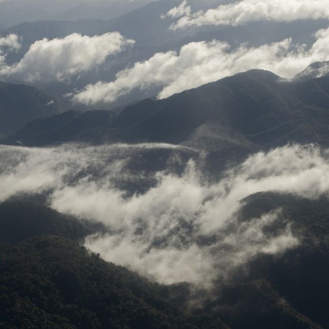 Vista desde un avión que vuela sobre los bosques nubosos de las tierras altas occidentales de la provincia de Chiriquí, Panamá.