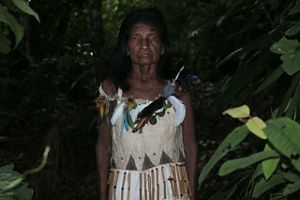 The portrait of an indigenous woman of old age, with a clear dress and traditional ornaments, surrounded by dark leaves, looking seriously at the camera. 