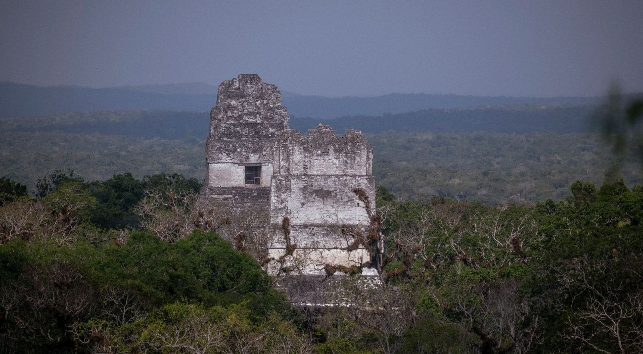 Video de vista aérea de Selva Maya con árboles y mar en el fondo.