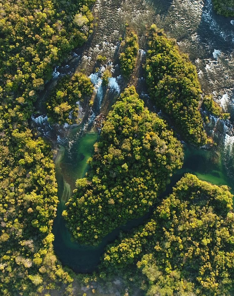Sistemas agronómicos