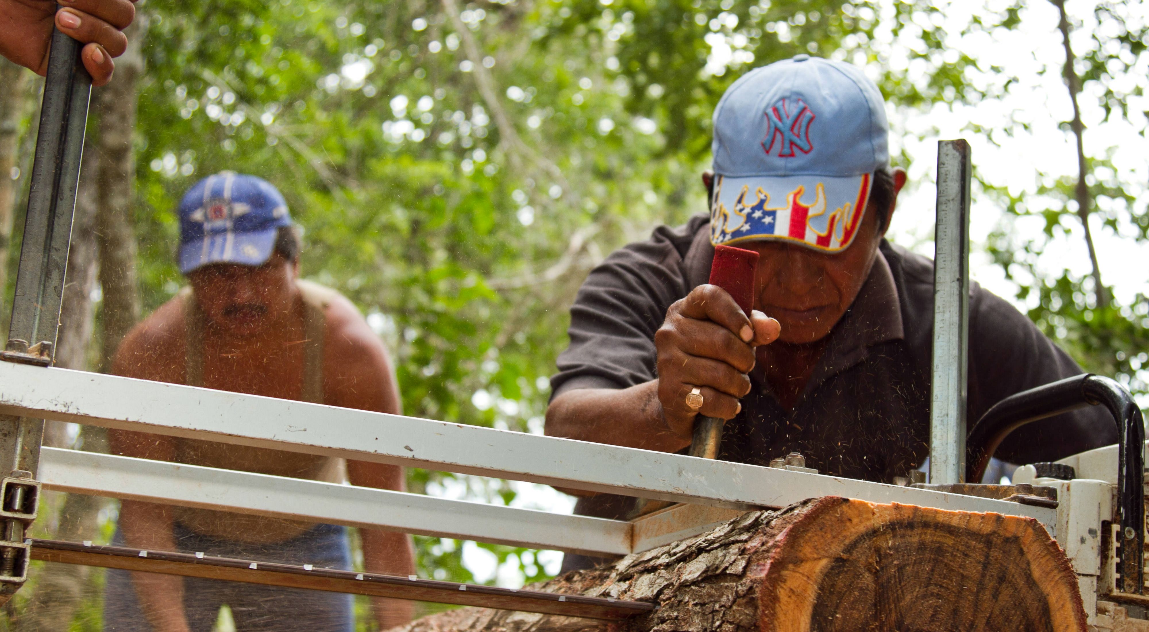 Los hombres del ejido de Bethania, un territorio de propiedad comunal, usan un aserradero portátil para cortar tablas de madera de los árboles que cosechan. 