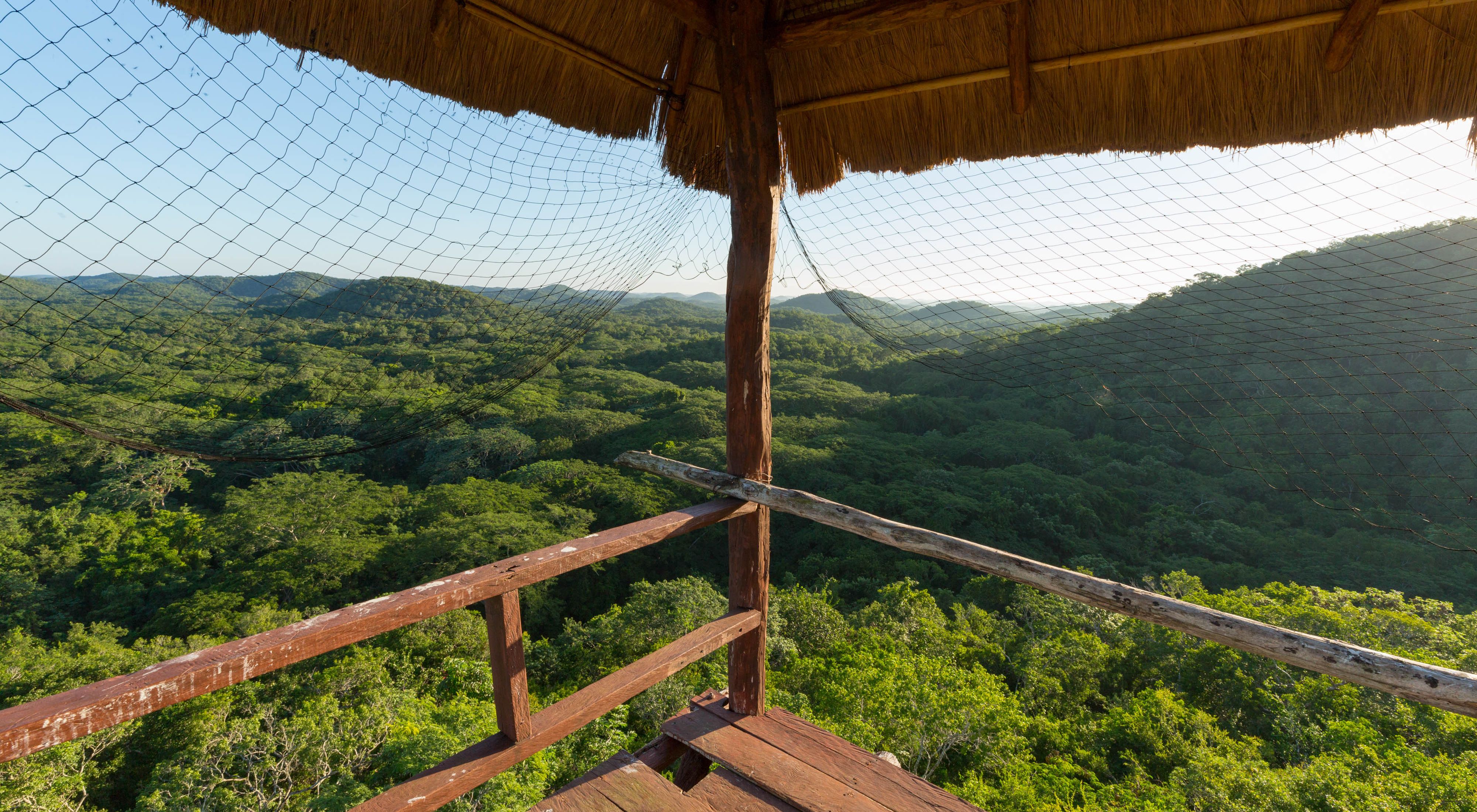 Vista desde la torre de observación en la Reserva Biocultural Kaxil Kiuic de 4,500 acres operada por el Colegio Millsaps en San Sebastián, Yucatán en México.