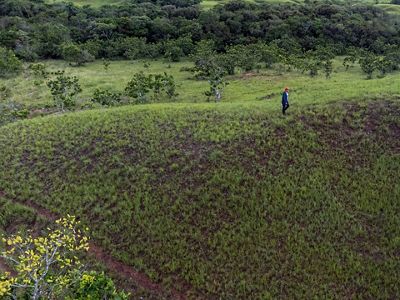 próximamente declarado el primer Parque Nacional Natural de Colombia de sabanas naturales.