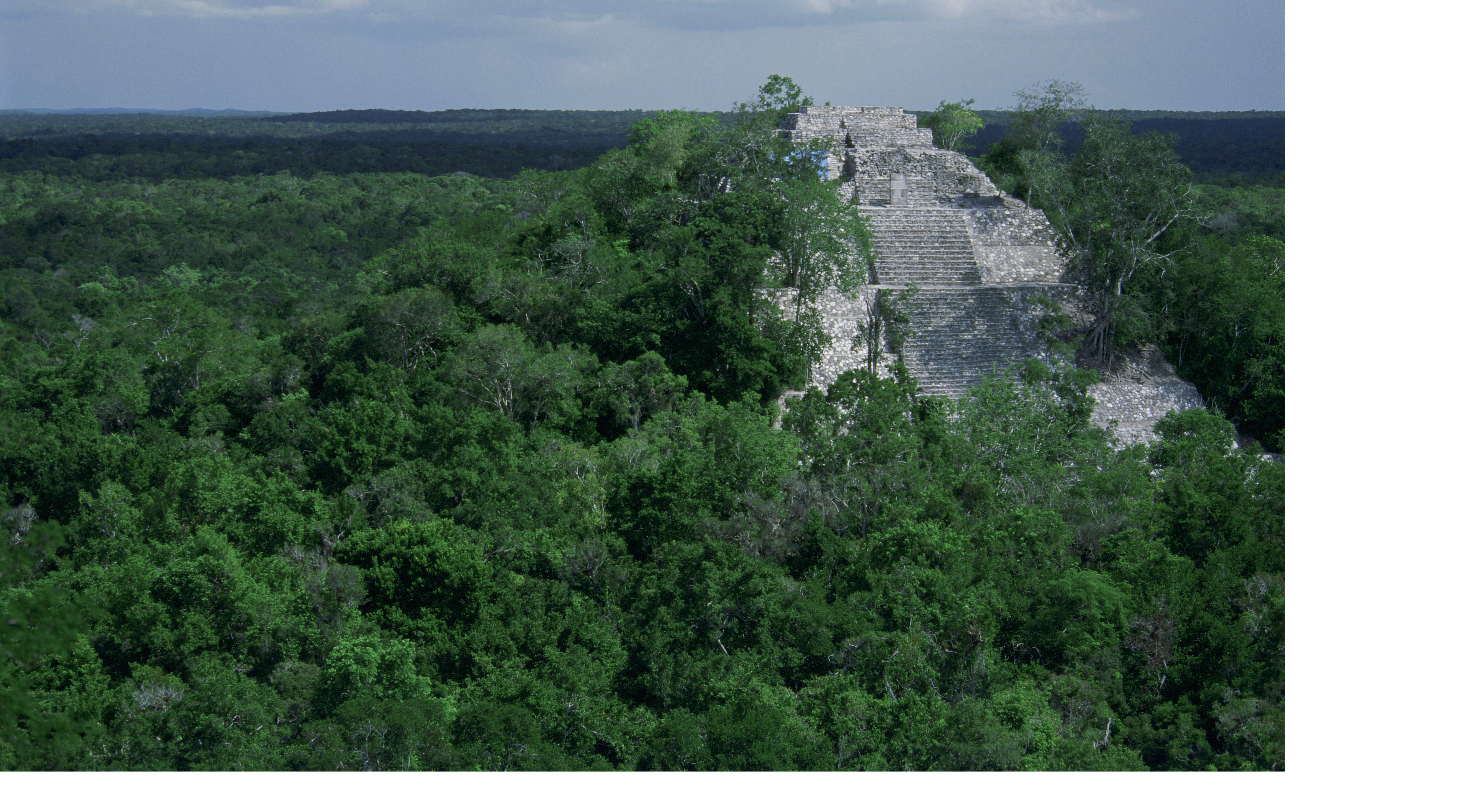 Selva Maya Selva maya